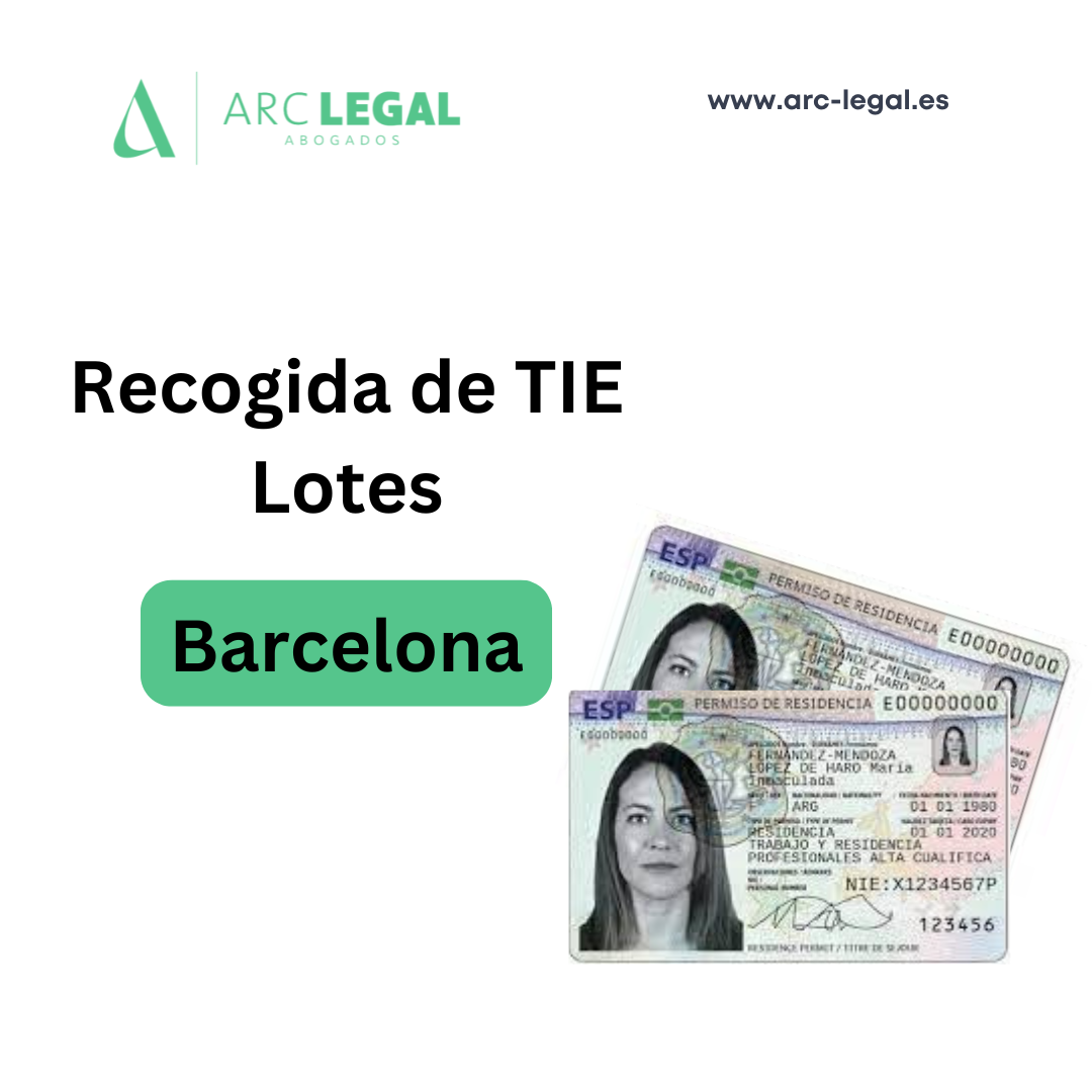 Recogida TIE Barcelona - Lotes