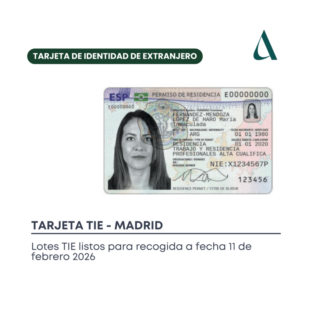 TIE lotes Madrid
